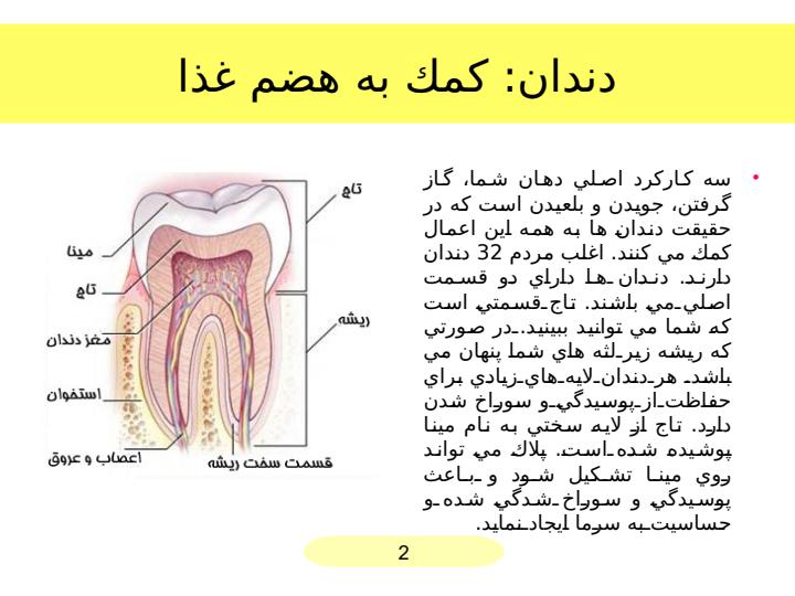 دهان1