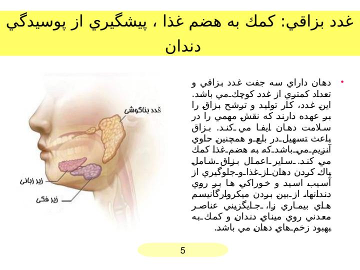 دهان4