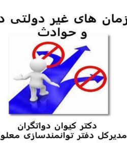 نقش-سازمان-های-غیر-دولتی-در-ناتوانی-و-حوادث