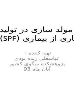 مولد-سازی-میگوی-spf