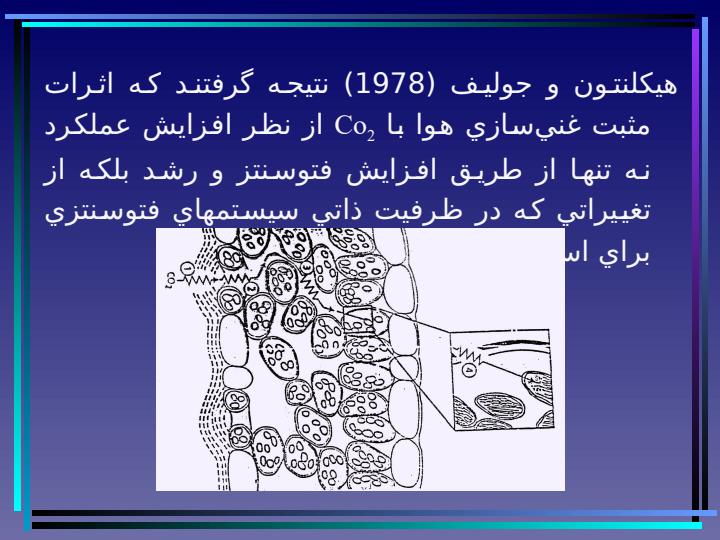 غنـي-سازي-گاز-Co2و-تأثيـرات-آن-بـر-روي-فرآيندهاي-زيستي-گيـاه4