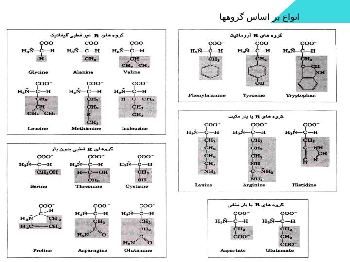 فصل-4-ساختمان-اسیدهای-امینه-و-پروتئین-ها3