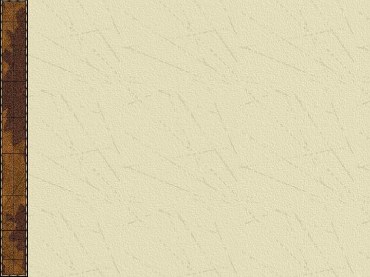 كارآفريني-تكنولوژي-ارتباطات-و-اطلاعات-جنسيت-و-سازمان-هاي-يادگيرنده4