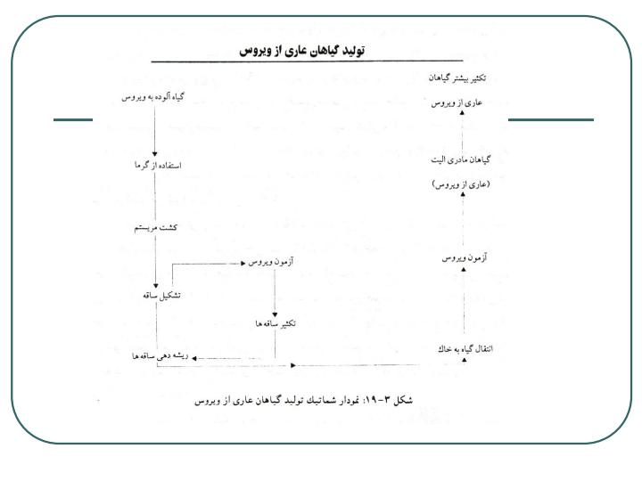 كشت-بافت-و-كاربرد-آن-در-اصلاح-گياهان-عالي3
