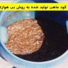 کود-ماهی-تولید-شده-به-روش-بی-هوازی