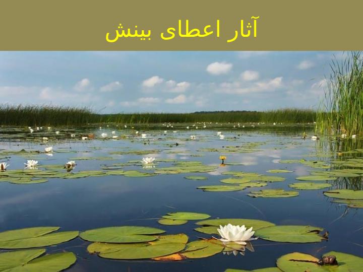 متريک-های-فنی-نرم-افزار6