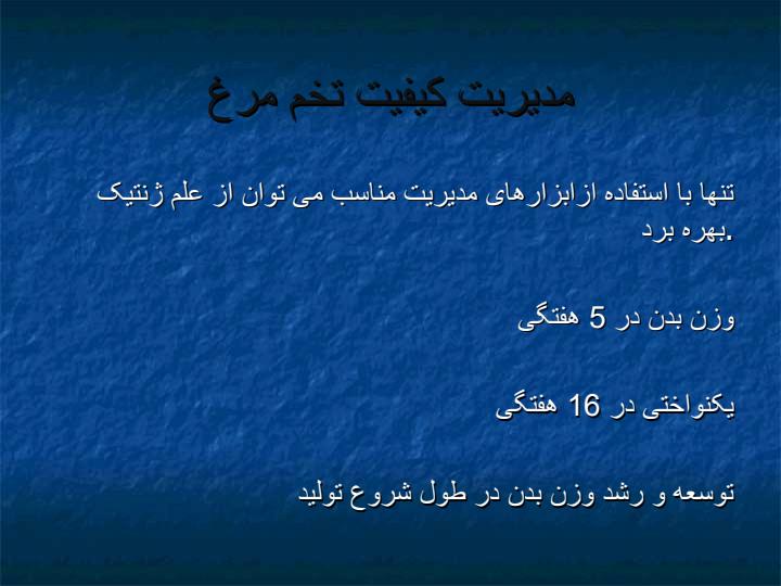 مرغ-تخم-گذار3