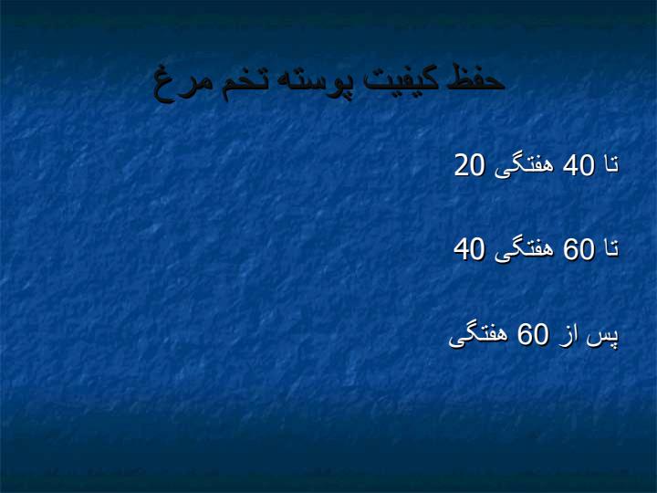 مرغ-تخم-گذار4