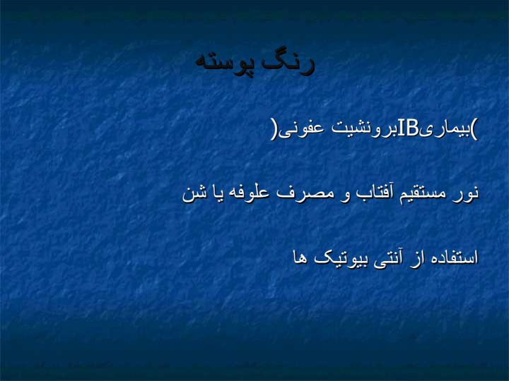 مرغ-تخم-گذار5