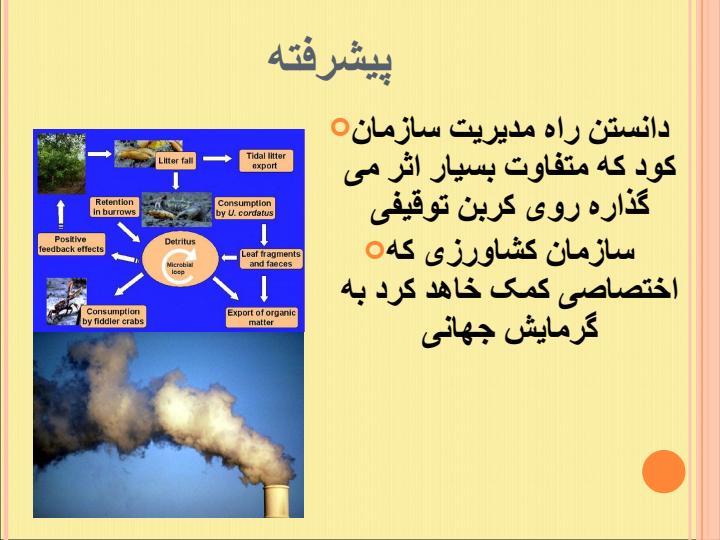 مطالعه-کربن-های-توقیف-شده-در-سازمان-خاک-های-استوایی5