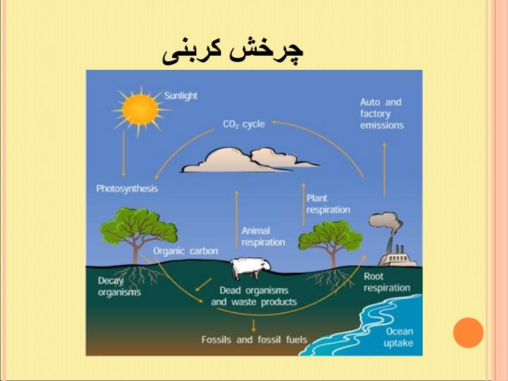 مطالعه-کربن-های-توقیف-شده-در-سازمان-خاک-های-استوایی6