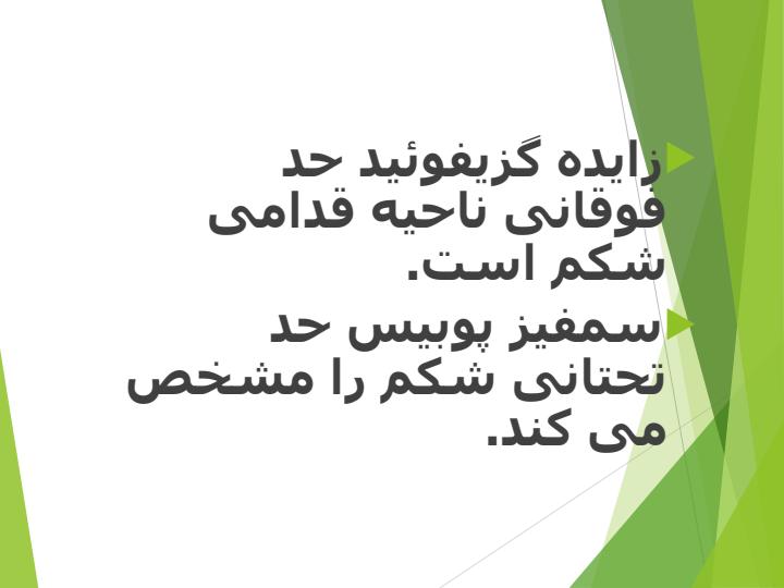 معاینه-شکم1