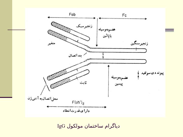 معرفي-روش-هاي-ايمن-سنجي-و-برخي-كاربردهاي-آن-در-كشاورزي5