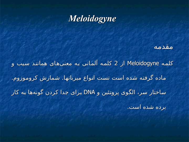 معرفی-جنسهای-Heterodera-و-Meloidogyne-3