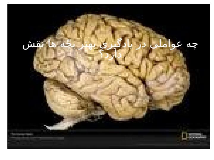 مغز-و-آموزش1