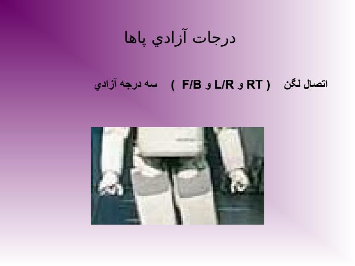 مكانيزم-راه-رفتن-انسان6