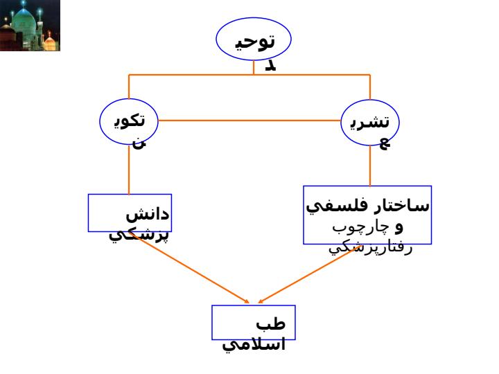 ملاحظاتي-درباره-ويژگي-هاي-طب-سنتي1