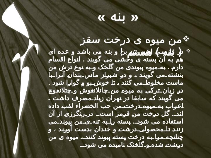 من-بنه-هستم1