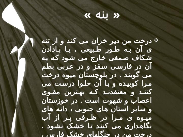 من-بنه-هستم2