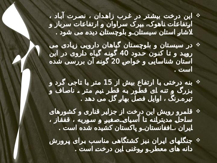 من-بنه-هستم6
