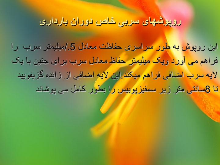 موضوعروپوش-های-سربی6