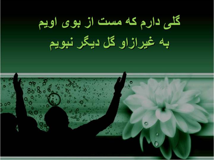 مولا4