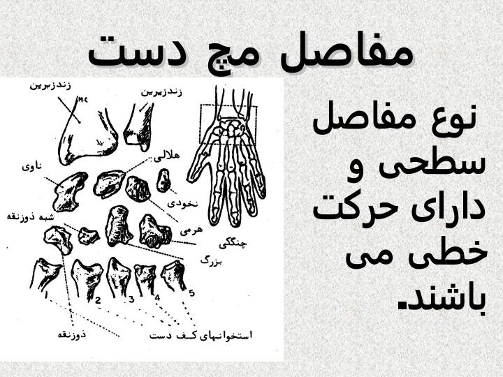 مچ-دست4