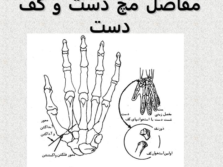 مچ-دست5