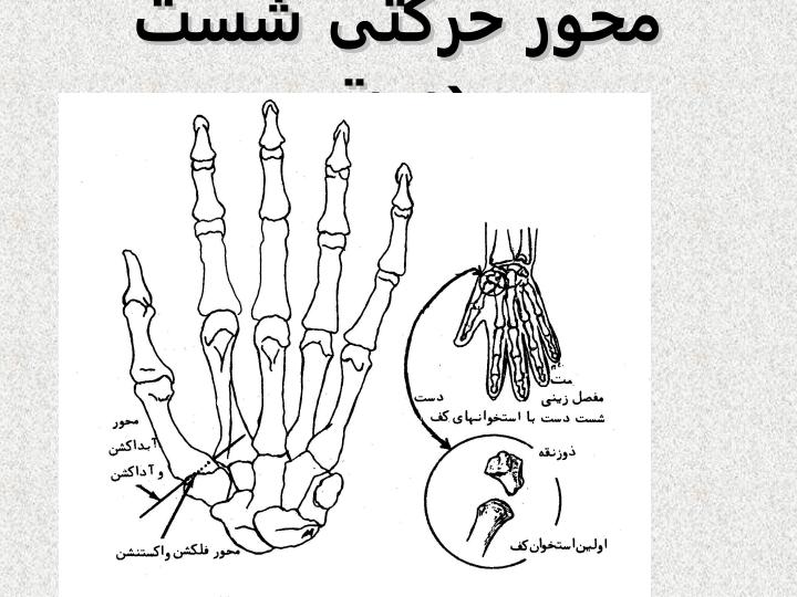 مچ-دست6