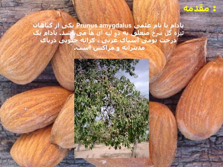 میوه-های-مناطق-معتدله2