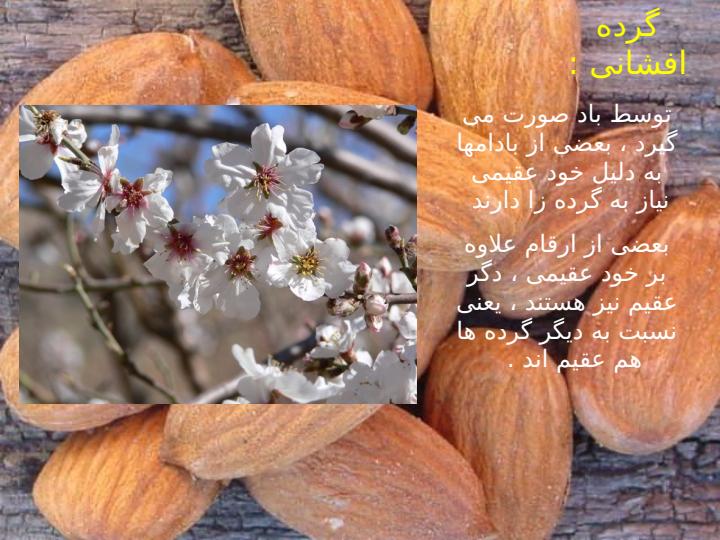میوه-های-مناطق-معتدله6