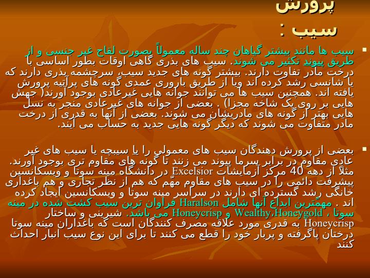 نحوه-احداث-باغ-سیب-و-مراحل-مختلف-تولید-آن5