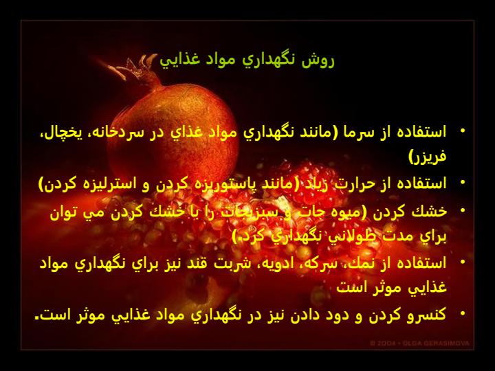 نحوه-نگهداري-مواد-غذايي4