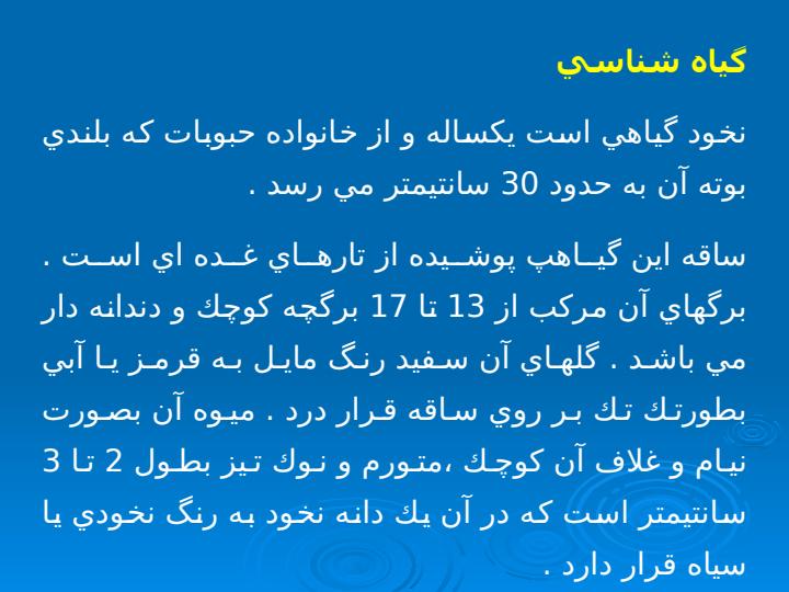 نخود2