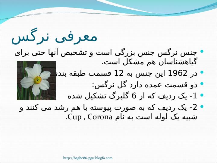 نرگس-3