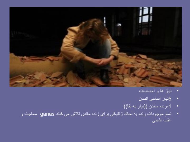 نظریه-ی-انتخاب2