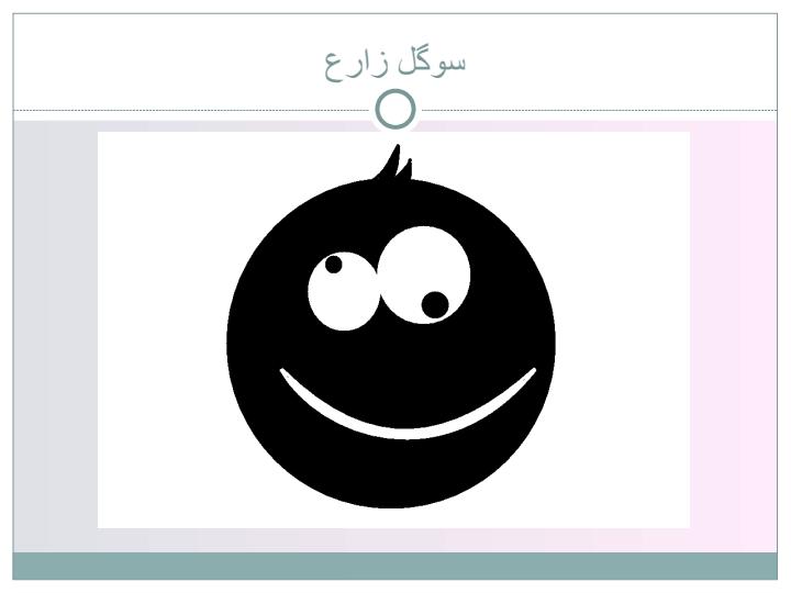 نقاشی-های-دانش-آموزان-اول-راهنمایی3