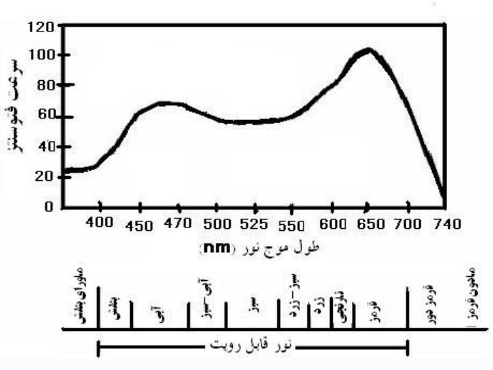 نور5