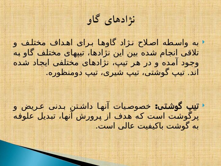 نژادهای-گاو1