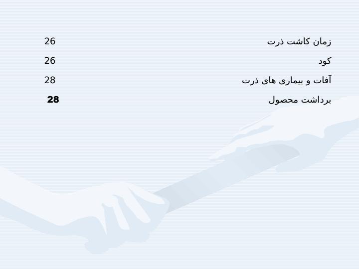 کارآموزی-زراعت-و-اصلاح-نباتات-دانه-هاي-روغني-سويا-و-ذرت6