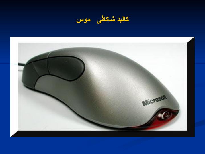 کالبد-شکافی-موس1