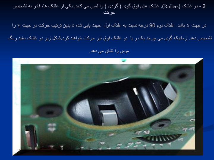 کالبد-شکافی-موس4