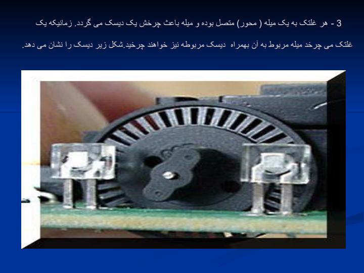 کالبد-شکافی-موس5