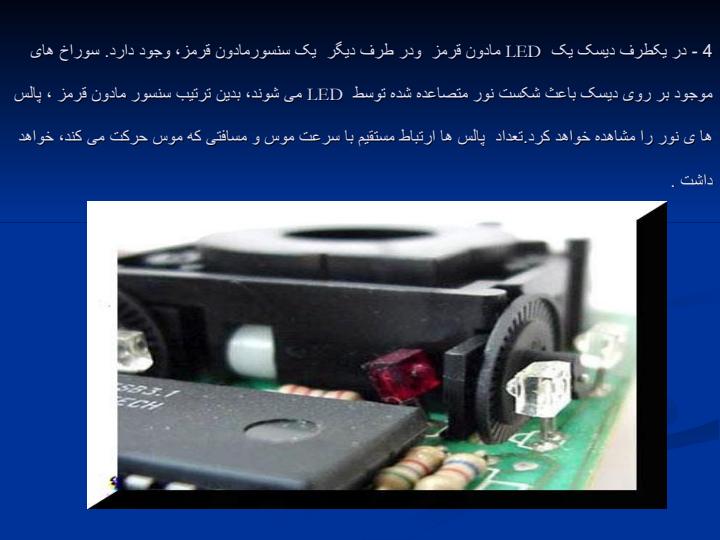 کالبد-شکافی-موس6