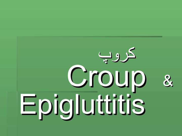 کروپز-Croup1