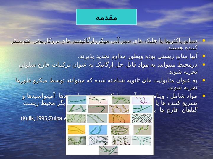 کنترل-بیوژیکی-کپک-سفید-کاهو-با-استفاده-از-سیانو-باکتریها2