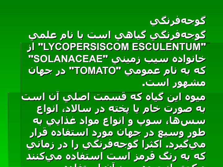 کوجه-فرنگی2