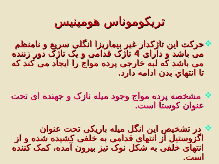 کیلوماستیکس-مسنیلی5