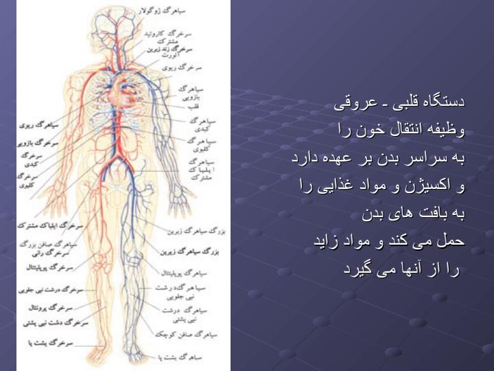 اصول-پیشیگری-از-بیماریهای-قلبی-و-عروقی-و-اصول-تغذیه-سالم3