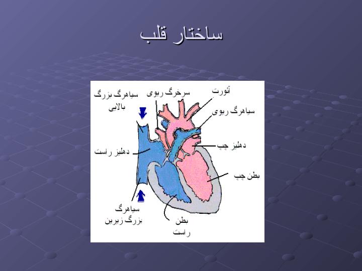 اصول-پیشیگری-از-بیماریهای-قلبی-و-عروقی-و-اصول-تغذیه-سالم5